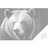 Kropkowanie - Niedźwiedź grizzly