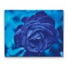 Malowanie diamentowe - Niebieska róża