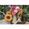 Malowanie po numerach - Słonecznik w konewce, w tle kwiaty