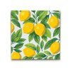 Malowanie_po_numerach_Cytryny_na_tle_M2