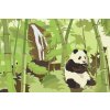 Malowanie po numerach - Panda w lesie deszczowym