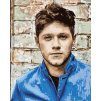 Malowanie po numerach - Niall Horan 2