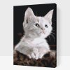 Malowanie po numerach - Biały kot