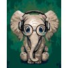 Malowanie po numerach - Słoń w okularach