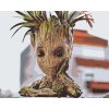 Malowanie po numerach - Groot
