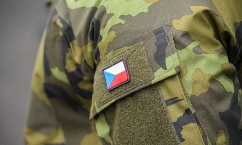 CIHELNA 2023 - Králíky