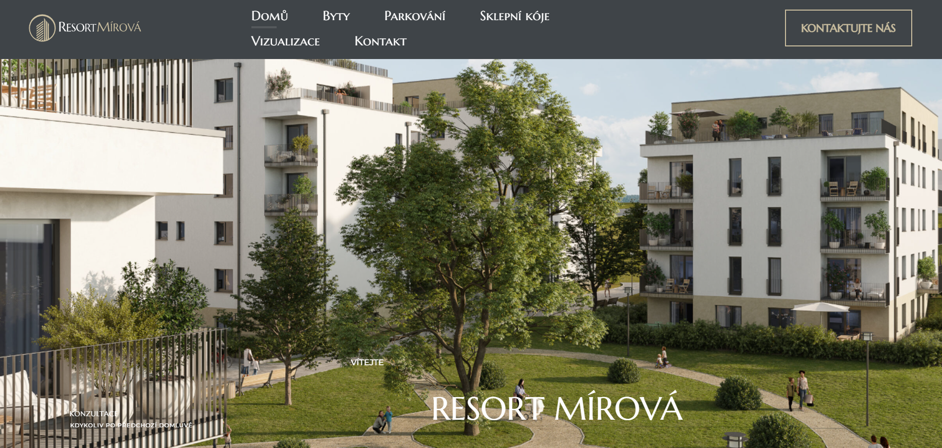 Případová studie, online marketing: Developerský projekt Rychnov nad Kněžnou a Dašice