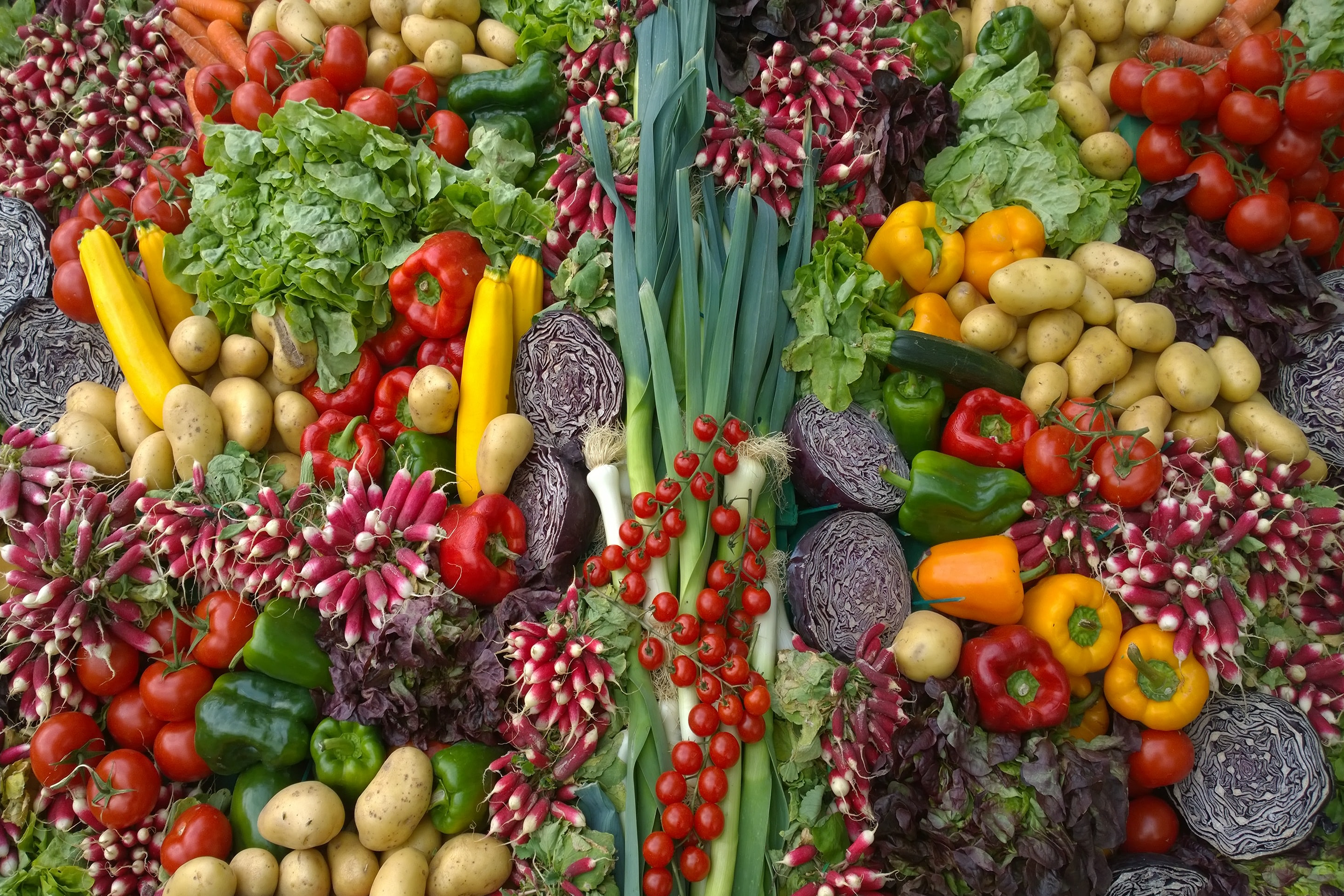 Pro a proti vegetariánské stravy