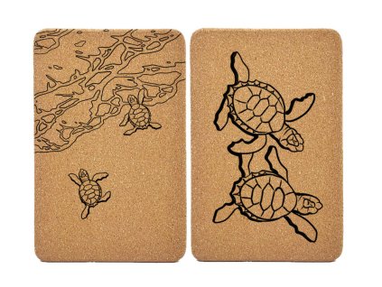 turtles set