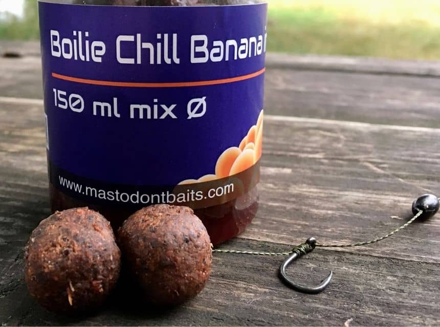 clanok-ako-si-vybrat-hacik-na-boilies-dve-gulicky-boilies-na-vlase-pod-hacikom-nastrazene-na-nadvazci-pre-lov-kapra-na-boilies