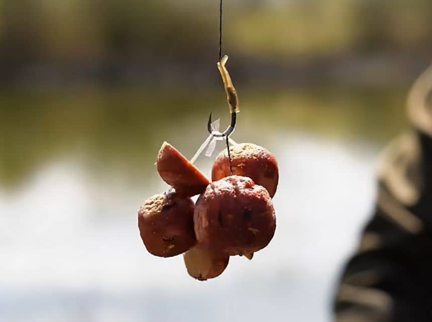 clanok-ako-pouzivat-pva-na-ryby-pva-snurka-s-boilies-zavesena-na-haciku-pripravena-na-nahodenie-do-vody