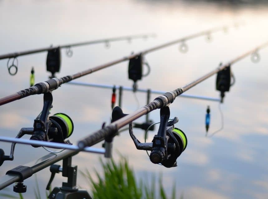 clanok-ako-si-vybrat-kaprovy-prut