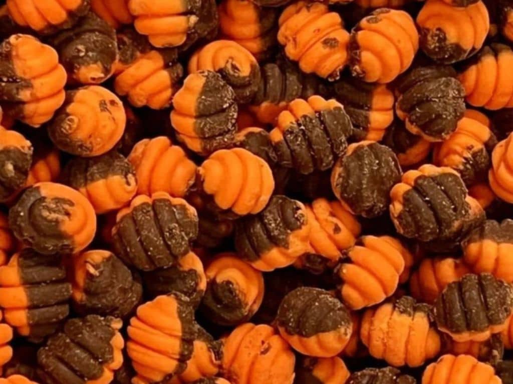 popis-vyvazena-nastraha-method-feeder-fans-worms-wafters-krill-10mm-20g