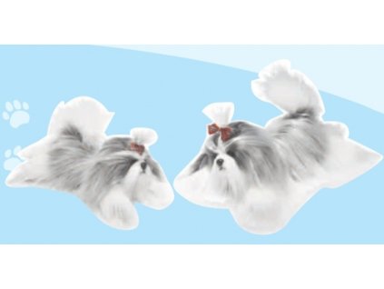 Pejsek shi tzu malý