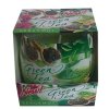 Vonná svíčka Green Tea 100g