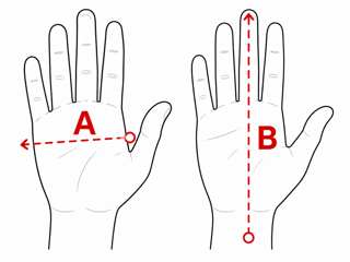 How to measure hand circumference and palm length for glove size