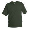 T61 OR