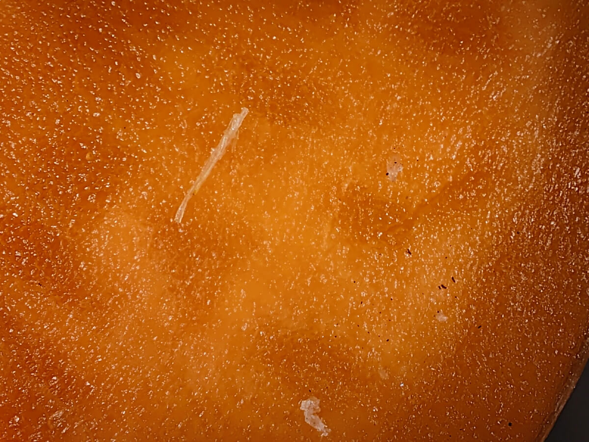Detail einer Karottenscheibe mit Mikroplastik bei 20-facher mikroskopischer Vergrößerung