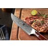 Klinge des Steakmessers XinZuo Yu B13R