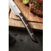 Der Griff des Steakmessers XinZuo M6