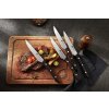 Steakové nože XinZuo M6 na prkénku