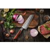 Santoku nůž HEZHEN Master B30R 7"