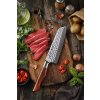 Santoku nůž HEZHEN Master B30R 7"