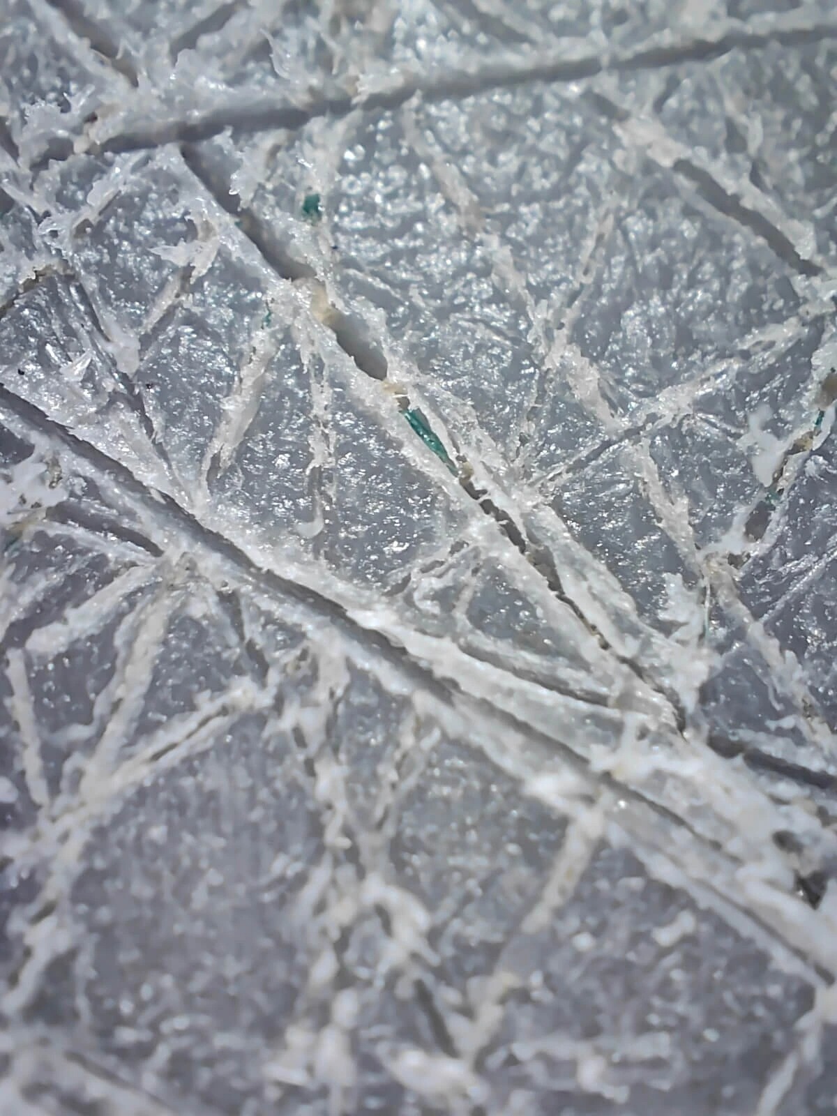 deska plastikowa pod mikroskopem, powiększona 40x
