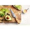 Nóż do warzyw i owoców XinZuo Lan B37