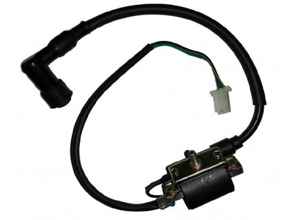 indukční cívka samec