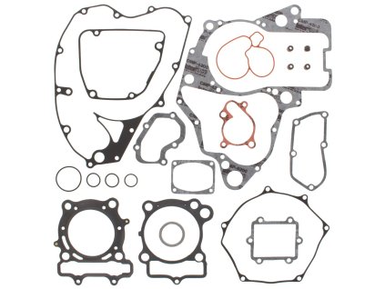 Těsnění motoru - kompletní (WINDEROSA)