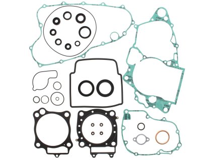 Těsnění motoru - kompletní vč. gufer (WINDEROSA)