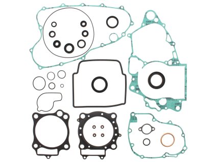 Těsnění motoru - kompletní vč. gufer (WINDEROSA)