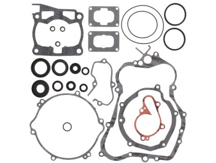 Těsnění motoru - kompletní vč. gufer (WINDEROSA)