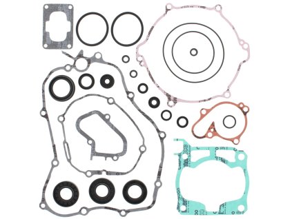 Těsnění motoru - kompletní vč. gufer (WINDEROSA)