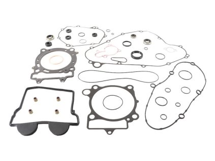 Těsnění motoru - kompletní vč. gufer (WINDEROSA)