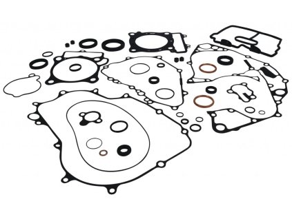 Těsnění motoru - kompletní vč. gufer (WINDEROSA)