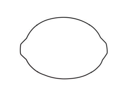 Těsnění spojky - vnější (WINDEROSA)