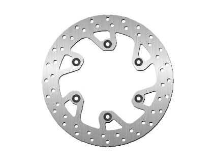 Brzdový kotouč - zadní (NG)