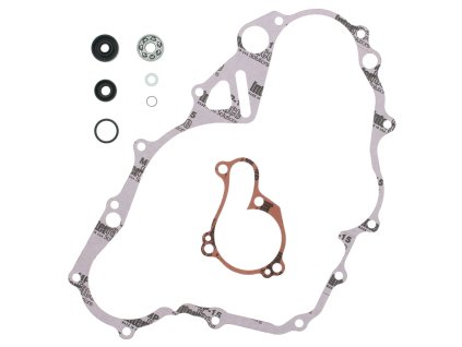 Opravná sada vodní pumpy (WINDEROSA)