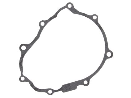 Těsnění zapalování (WINDEROSA)