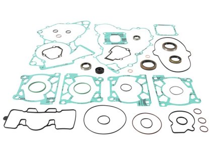 Těsnění motoru - kompletní vč. gufer (WINDEROSA)