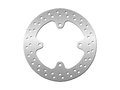 Brzdový kotouč - zadní (NG)