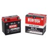 Baterie AGM YTX5L (BS-BATTERY)