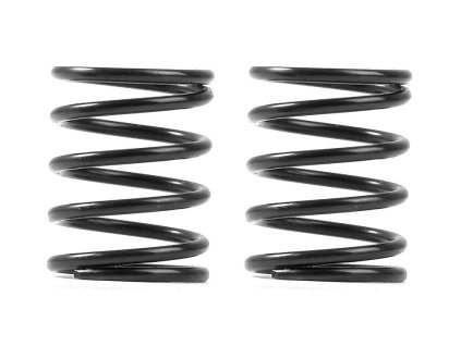 XRAY 3S SPRING-SET C=4.5 (2)