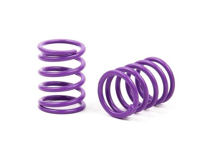 XRAY SPRING-SET C=5.0 - MEDIUM - FRONT (2)