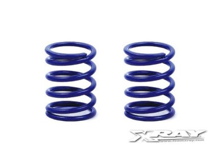 XRAY SPRING-SET C=3.6 - SOFT-MEDIUM - REAR (2)