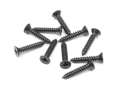 screw phillips ss 3 5x19 10