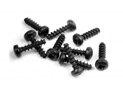screw phillips 2 5x10 10