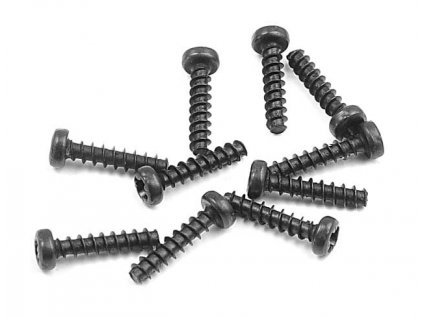 screw phillips 2 2x10 10